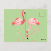 Flamingo-Vögel Postkarte (Rückseite)
