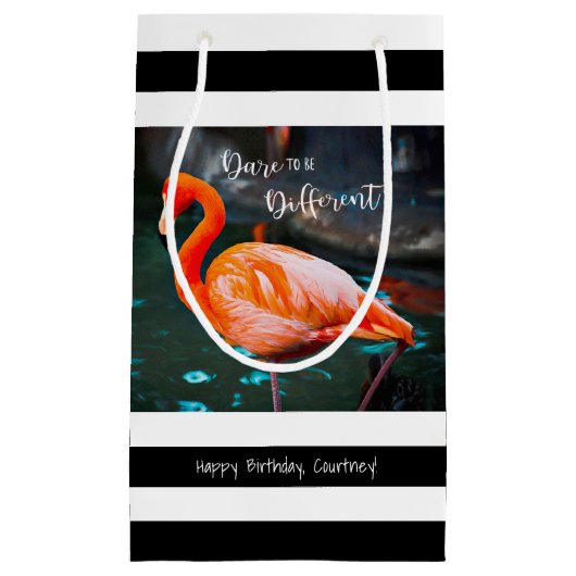 Flamingo wagen es, einen anderen Namen für schwarz Kleine Geschenktüte (Vorderseite)