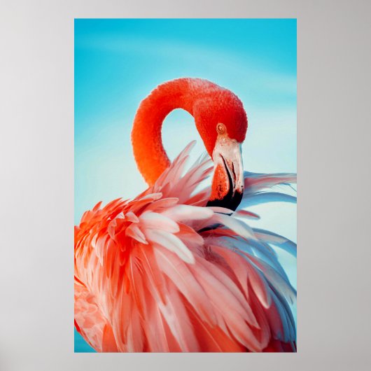 Flamingo wall art poster (Vorne)