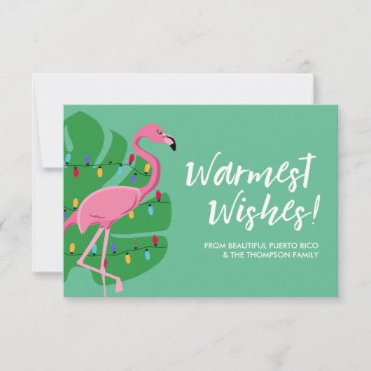 Flamingo Warmest wünscht Familie Karte (Vorderseite)