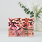 Flamingo Wisdom Postkarte (Stehend Vorderseite)