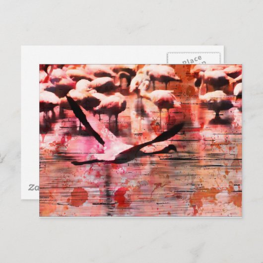 Flamingo Wisdom Postkarte (Vorne/Hinten)