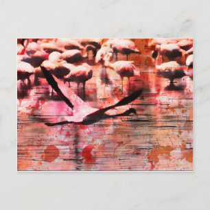Flamingo Wisdom Postkarte
