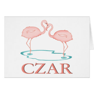 Flamingo-Zar