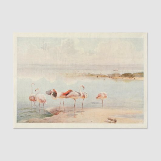 Flamingoes Bird Ephemera Decoupage Seidenpapier (Vorderseite)
