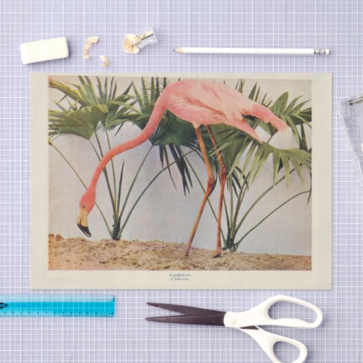 Flamingoes Bird Ephemera Dekoupage Tissue Paper Seidenpapier (Handwerk)