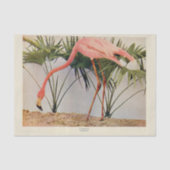 Flamingoes Bird Ephemera Dekoupage Tissue Paper Seidenpapier (Vorderseite)