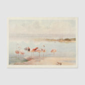 Flamingoes Bird Ephemera Entdeckungsreise zur Vint Seidenpapier (Vorderseite)