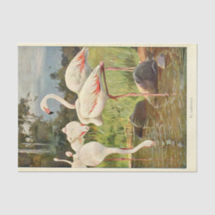 Flamingoes Bird Ephemerge Seidenpapier