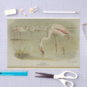 Flamingoes Birds Ephemera Decoupage Seidenpapier (Handwerk)