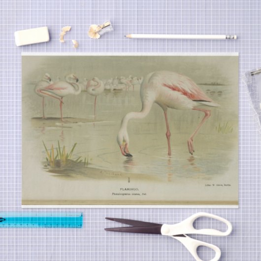 Flamingoes Birds Ephemera Decoupage Seidenpapier (Handwerk)