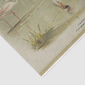 Flamingoes Birds Ephemera Decoupage Seidenpapier (Ausschnitt)