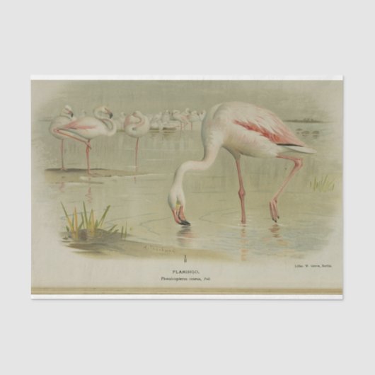 Flamingoes Birds Ephemera Decoupage Seidenpapier (Vorderseite)