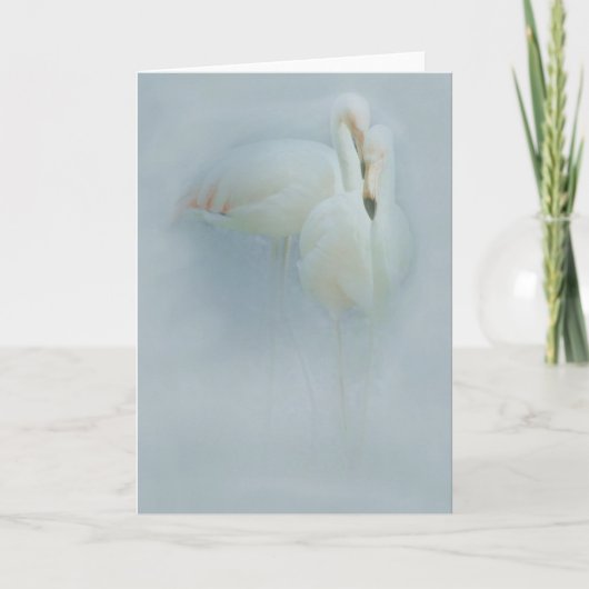 FLAMINGOfandango-GRUSS-KARTE Karte (Vorderseite)
