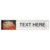 Flamingofedern kräuselten Nahaufnahmevogel Namensplakette (Vorderseite)