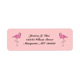 Flamingopaare des rosa