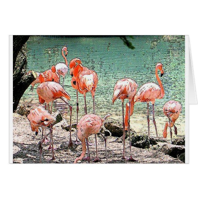 Flamingos (Vorderseite (Horizontal))