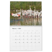 Flamingos 12 Monate Kalender (Feb 2026)