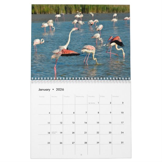 Flamingos 12 Monate Kalender (Jan 2026)