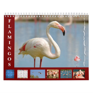 Flamingos 12 Monate Kalender