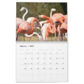 Flamingos 12 Monate Kalender (Feb 2026)