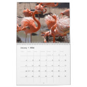 Flamingos 12 Monate Kalender (Jan 2026)
