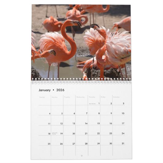Flamingos 12 Monate Kalender (Jan 2026)