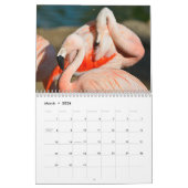 Flamingos 12 Monate Kalender (Mär 2026)