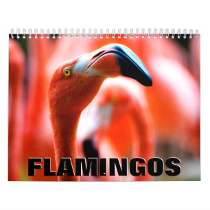 Flamingos 2022 Wall Calendar Kalender