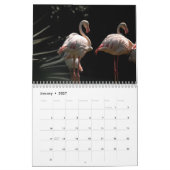 Flamingos 2025 kalender (Jan 2027)
