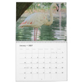 Flamingos 2025 kalender (Jan 2027)