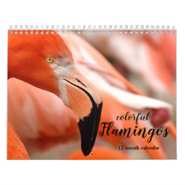 Flamingos 2026 kalender