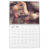 Flamingos 2026 kalender (Mär 2027)