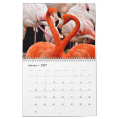 Flamingos 2026 kalender (Jan 2027)