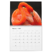 Flamingos 2026 kalender (Feb 2027)