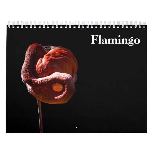 Flamingos 2027 kalender (Titelbild)