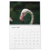 Flamingos 2027 kalender (Jan 2027)