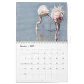 Flamingos 2027 kalender (Feb 2027)