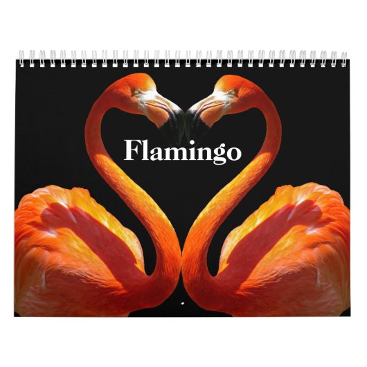 Flamingos 2027 kalender (Titelbild)