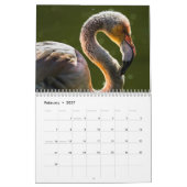 Flamingos 2027 kalender (Feb 2027)