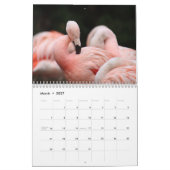 Flamingos 2027 kalender (Mär 2027)