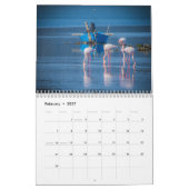 Flamingos 2027 kalender (Feb 2027)