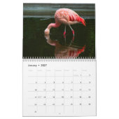 Flamingos 2027 kalender (Jan 2027)