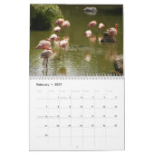 Flamingos 2027 kalender (Feb 2027)
