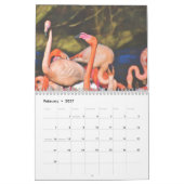 Flamingos 2027 kalender (Feb 2027)