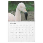 Flamingos 2027 kalender (Mär 2027)
