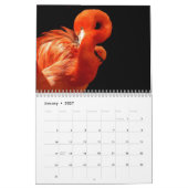 Flamingos 2027 kalender (Jan 2027)