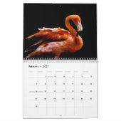 Flamingos 2027 kalender (Feb 2027)