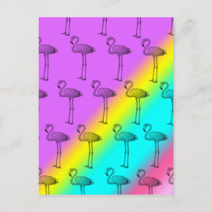 Flamingos 2 postkarte