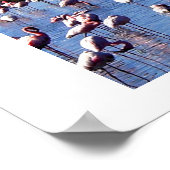 FLAMINGOS AM SEE WATERSCAPE IN KENIA POSTER (Ecke)